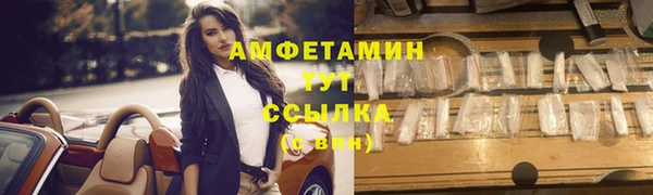 шишки Тында