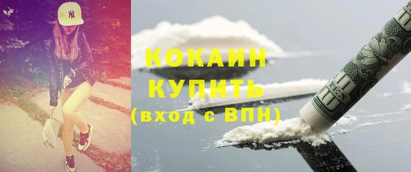 шишки Тында