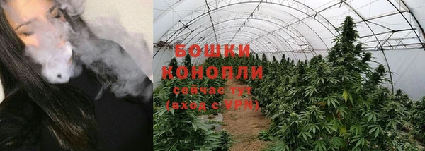 крисы Тихвин