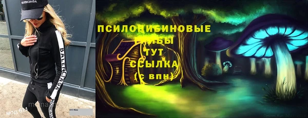 крисы Тихвин