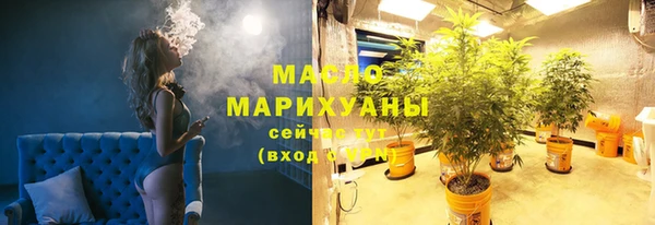 шишки Тында
