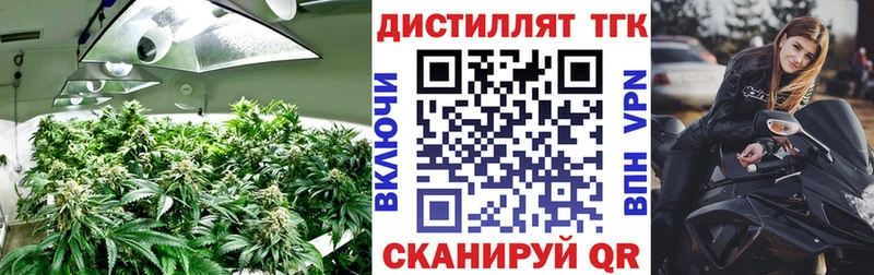 цена   Безенчук  сайты даркнета Telegram  Дистиллят ТГК концентрат 