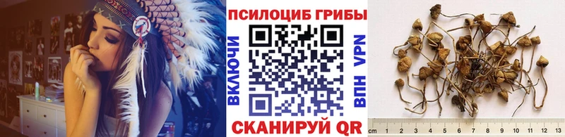 Псилоцибиновые грибы Psilocybe  хочу наркоту  Безенчук 